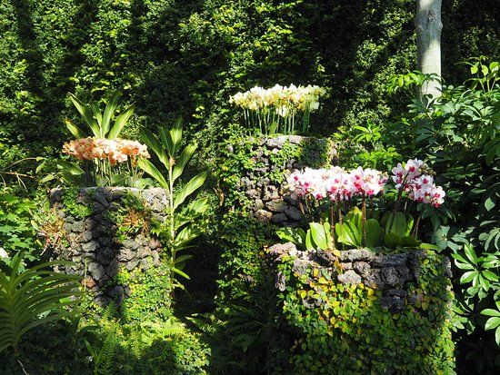 Yeomiji Botanical Garden